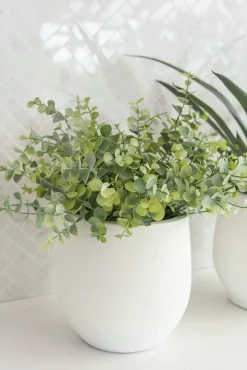 Porous finish white pot