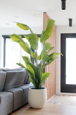 Porous finish white pot