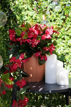 Pot en plastique couleur terracotta, 7 x 7,25″