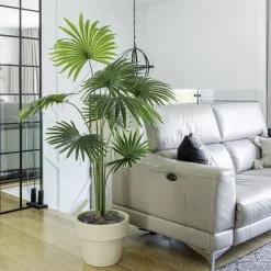 Pot en terre cuite, 11 x 14&Prime;