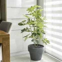 Pot en terre cuite, 11 x 14&Prime;