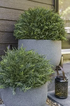 Pot rond extérieur gris en plastique