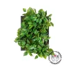 Pothos artificial indoor plant wall, 20 x 16″