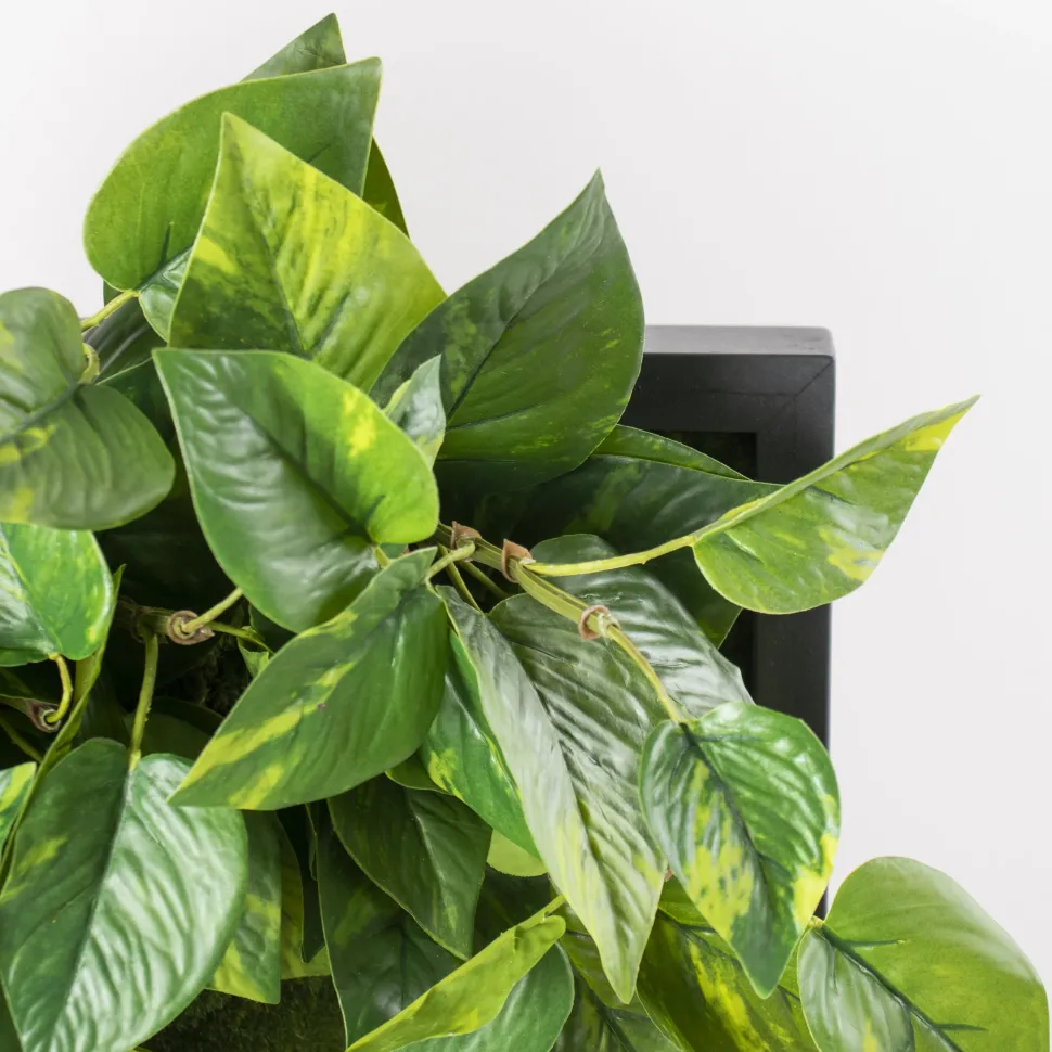 Pothos artificial indoor plant wall, 20 x 16″