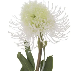 Protéa blanche artificielle, 23″