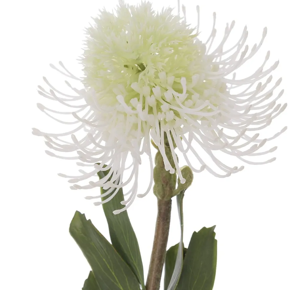Protéa blanche artificielle, 23″