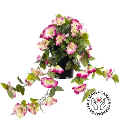 Pétunia en pot de culture noir, 22 x 12″