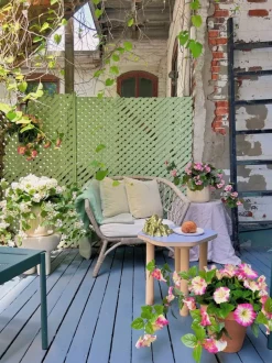 Pétunia en pot de culture noir, 22 x 12″