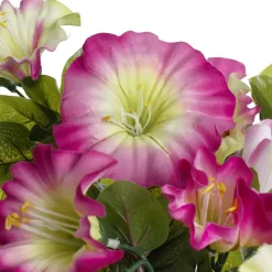 Pétunia en pot de culture noir, 22 x 12&Prime;