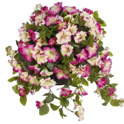 Pétunia en pot de culture noir, 28 x 20″