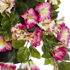 Pétunia en pot de culture noir, 28 x 20″