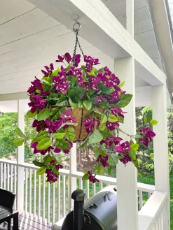 Purple bougainvillea outdoor hanging flower basket, 24 x 22″