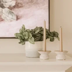 Real touch artificial watermelon peperomia, 13″