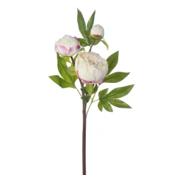 Real-touch artificial cream peony, 25″
