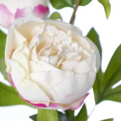 Real-touch artificial cream peony, 25″