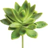 Real-touch artificial green aeonium stem, 5"