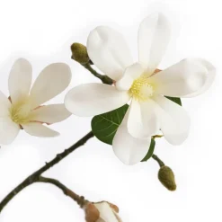 Real-touch artificial japanese magnolia stem, 37"