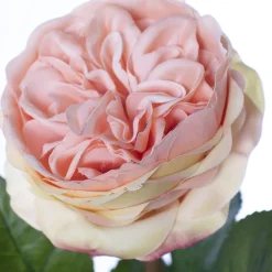 Real-touch artificial light coral rose, 22″