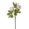 Real-touch artificial pink peony buds, 25″