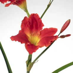 Real-touch artificial red hemerocallis, 30″