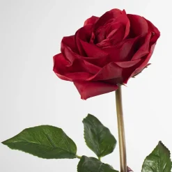 Real-touch artificial red open rose, 23″