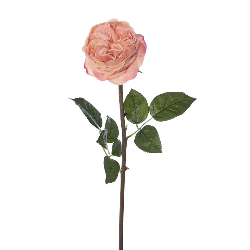 Real-touch atificial coral rose, 22″