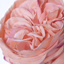 Real-touch atificial coral rose, 22″