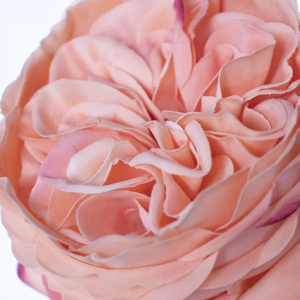 Real-touch atificial coral rose, 22″