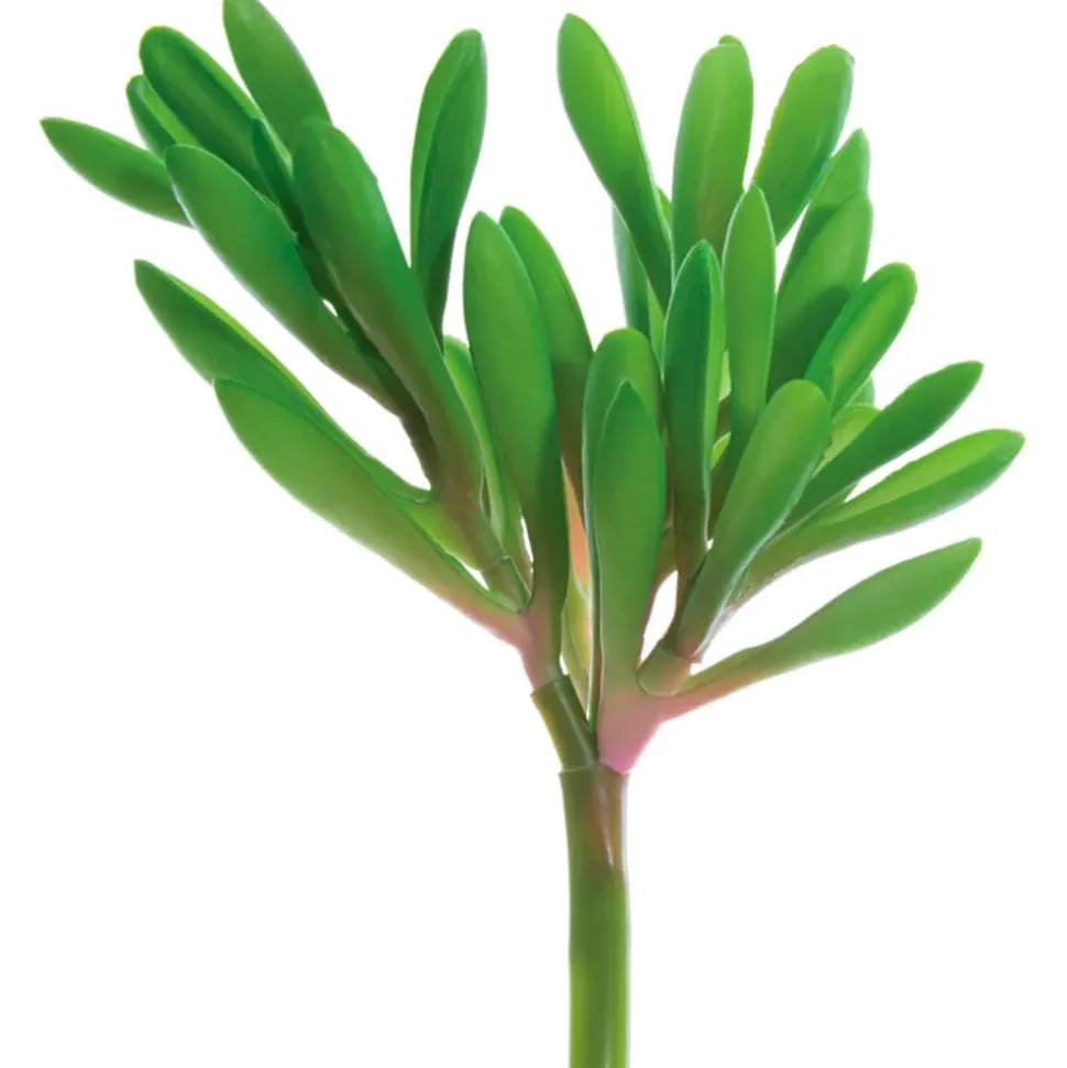 Real-touch carpobrotus edulis stem, 6"