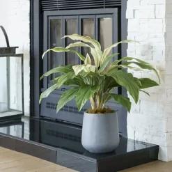 Real-touch cordyline artificial plant, 28″