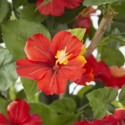 Red artificial outdoor hibiscus tree