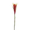 Red Hawaiian Bromeliad, 31″