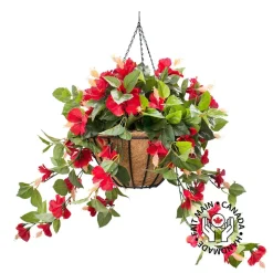 Red hibiscus outdoor hanging flower basket, 24 x 22″