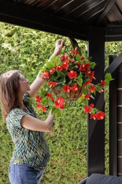 Red hibiscus outdoor hanging flower basket, 24 x 22″