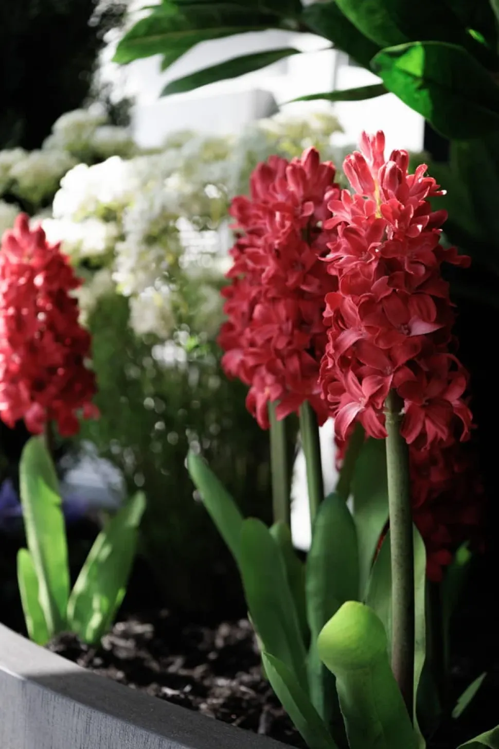 Red hyacinth artificial flower, 16,5″