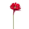 Red Night Blooming Flower, 32″