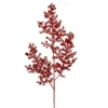 Red shiny fern stem, 31″