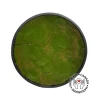 Round moss plant wall, 24 x 24″