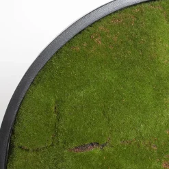 Round moss plant wall, 24 x 24″
