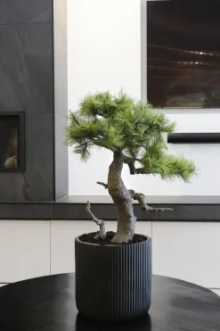 Rounded ribbed black fiber cement pot