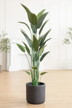 Rounded ribbed black fiber cement pot