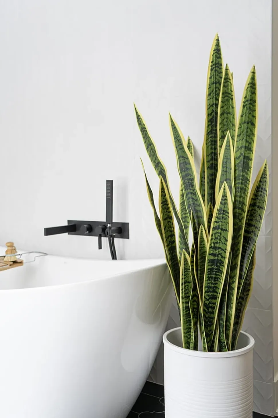 Sansevieria trifasciata artificielle, 47″