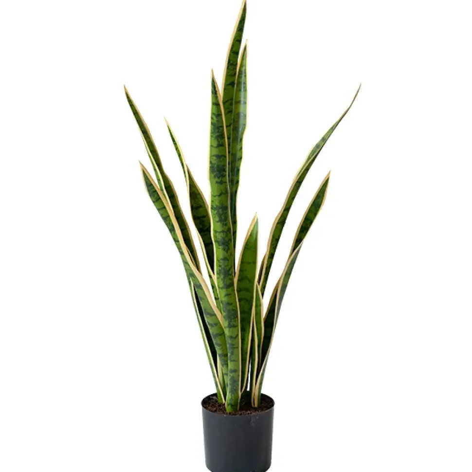 Sansevière jaune artificielle, 30″