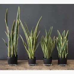 Sansevière jaune artificielle, 30″