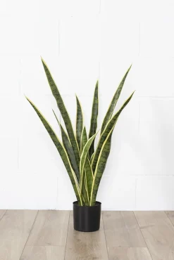 Sansevière jaune artificielle, 30″