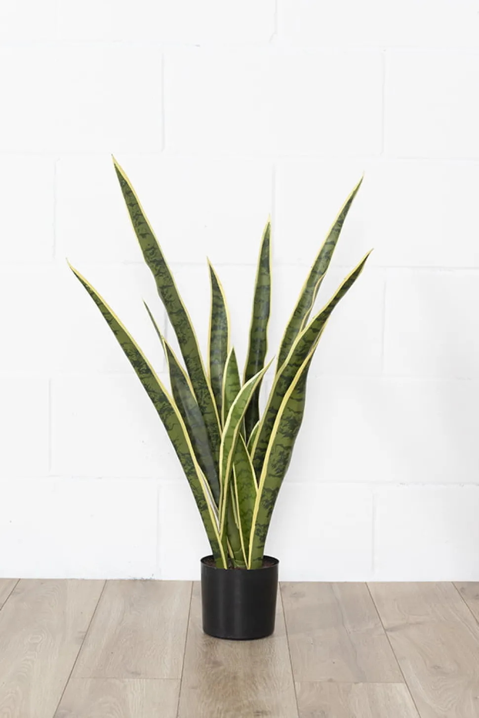 Sansevière jaune artificielle, 30″