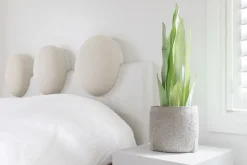 Sansevière moonshine artificielle, 25,5″