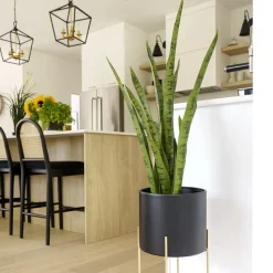 Sansevière verte artificielle, 30″