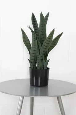 Sansevière verte artificielle, 22″