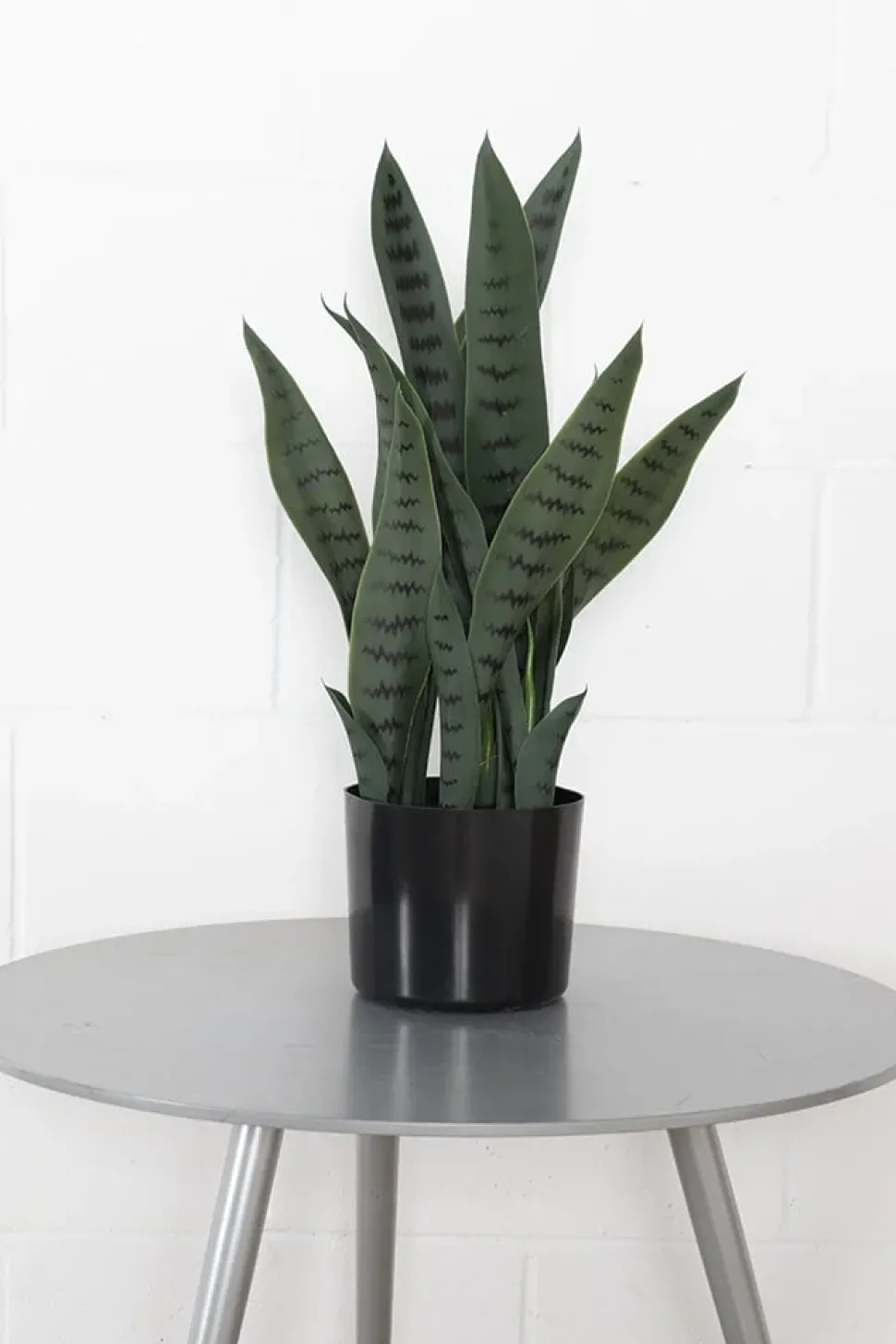 Sansevière verte artificielle, 22″